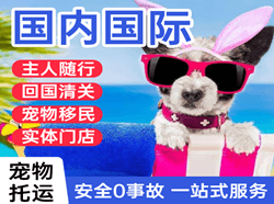 南阳空运国际宠物托运 【国